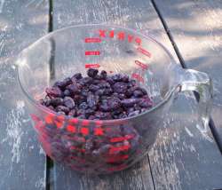 2011-08-11TundraBerryPyrex.jpg