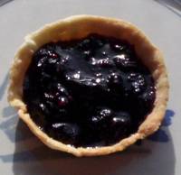 2012-01-29HoneyberryTart200.jpg